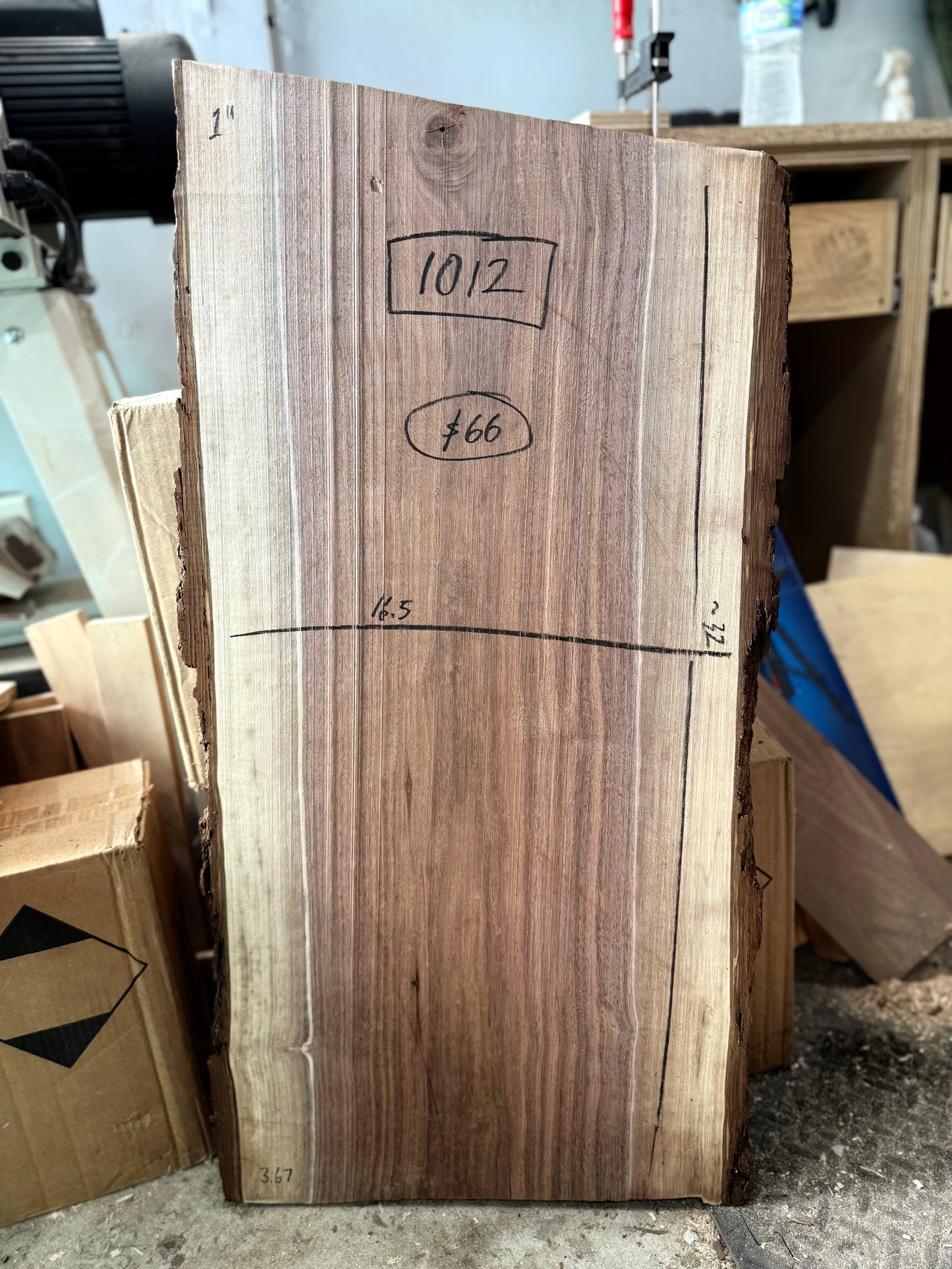 1012 | “FINISHED” Black Walnut Live Edge Slab - (Hurricane Helene Collection)