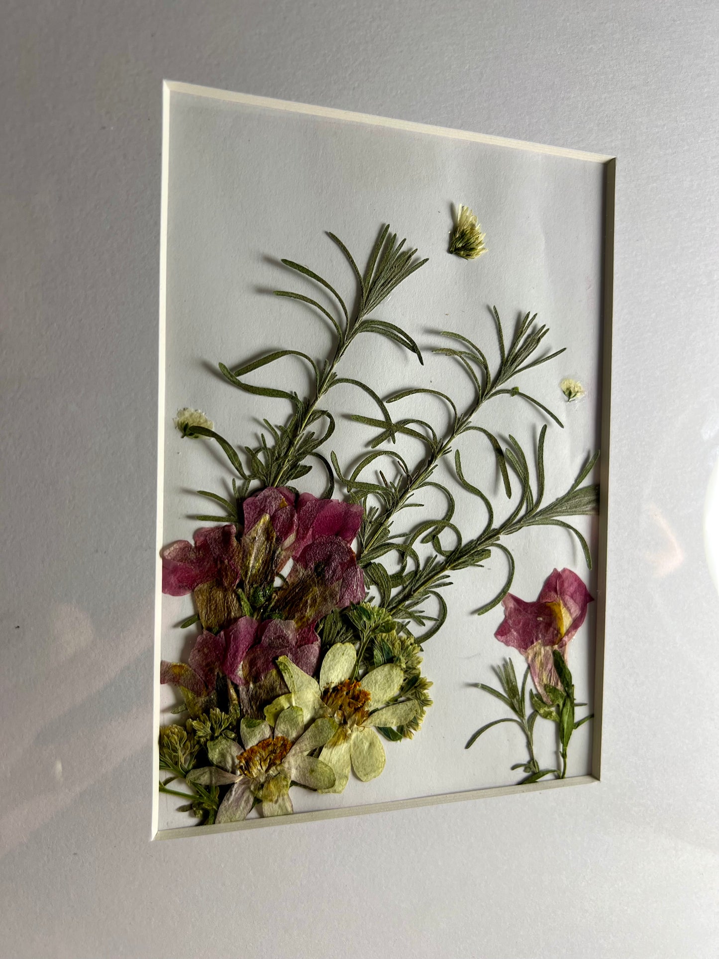 Pressed Flower Art