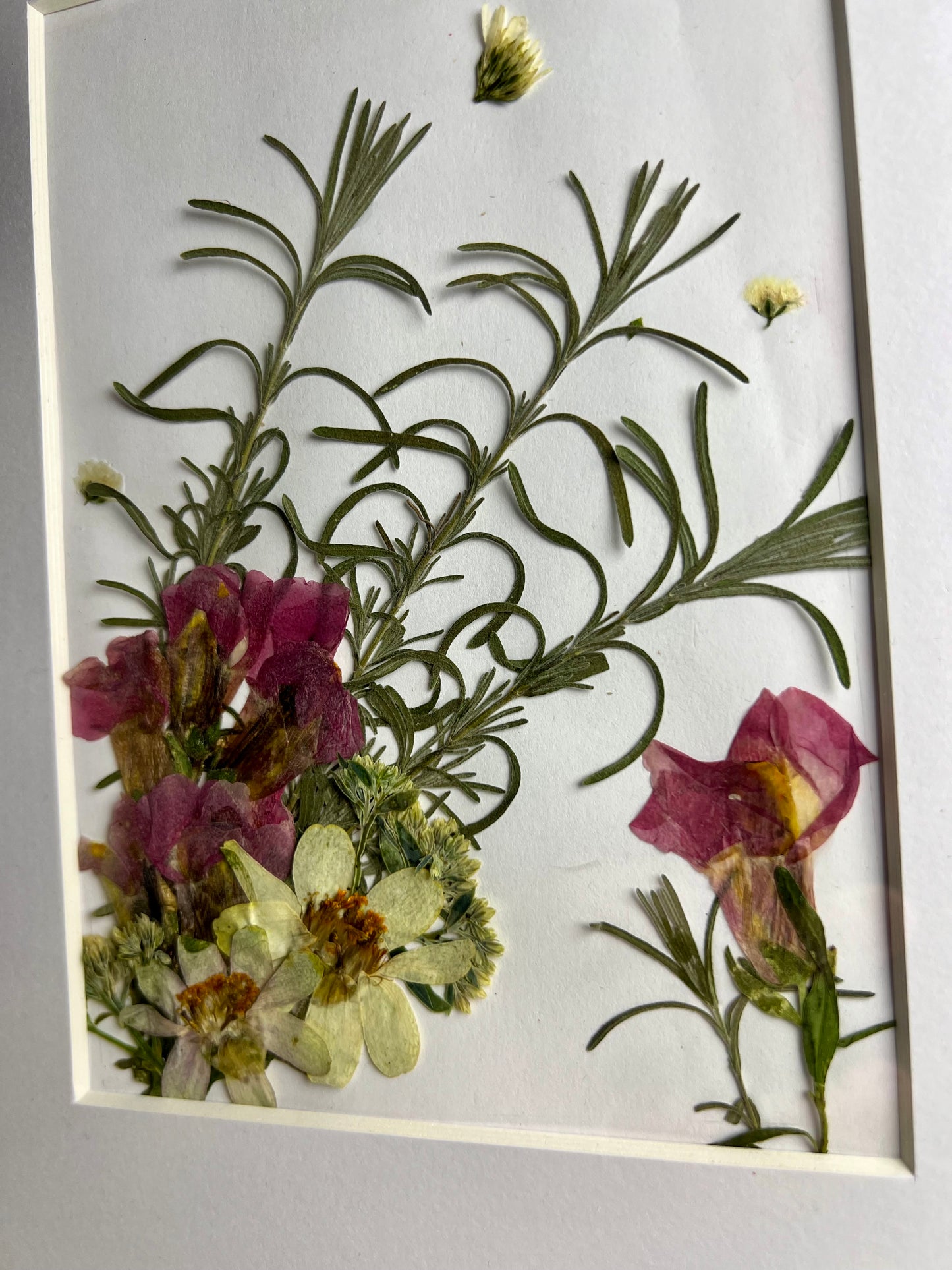 Pressed Flower Art